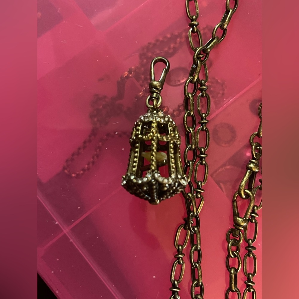 Chloe + Isabel tressor (2) piece chain necklace  34” total + Bird Cage Charm